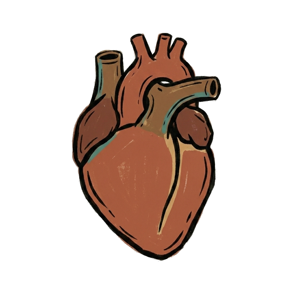 Heart