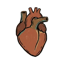 Heart